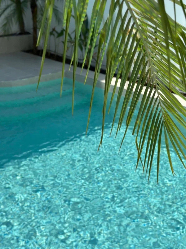 Ảnh Viva VT55 - 14