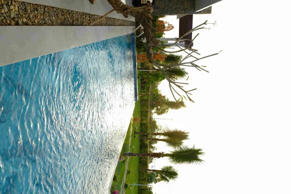 Ảnh Viva PT06 - 33