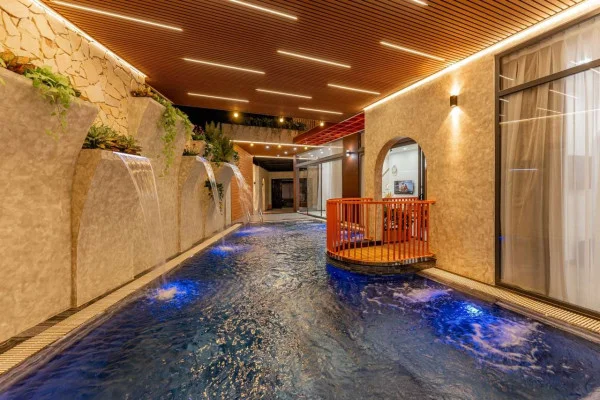 Ảnh Viva VT60 - 20