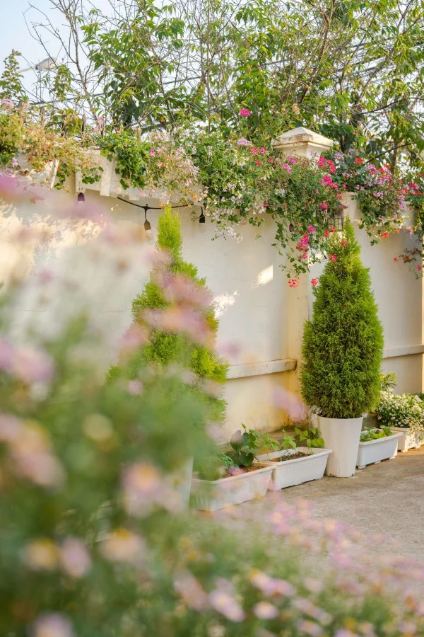 Ảnh Bảo Hân 1 - 46