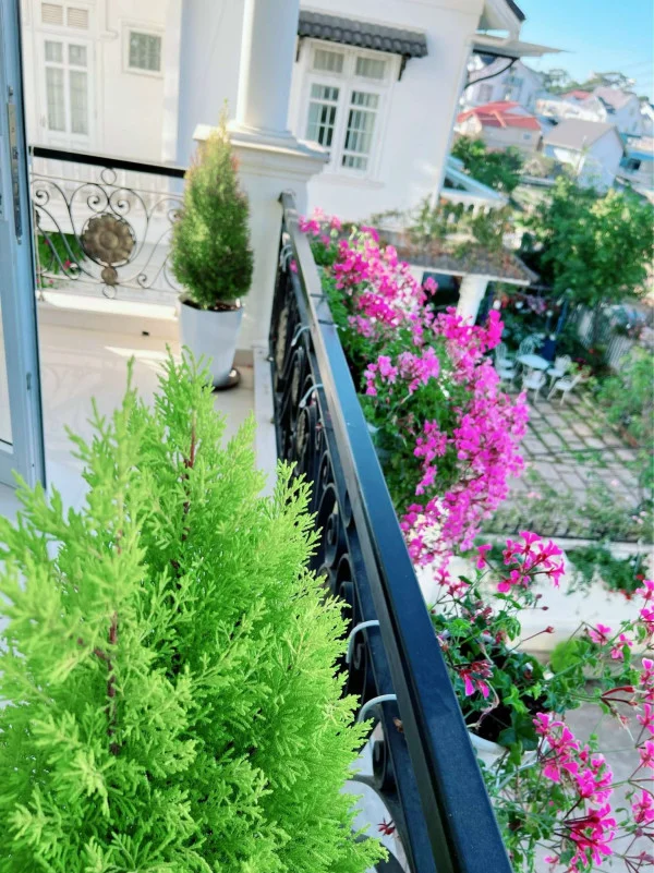 Ảnh Bảo Hân 1 - 43