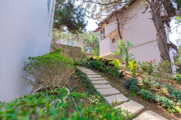 Ảnh Viva ĐL40 - 42