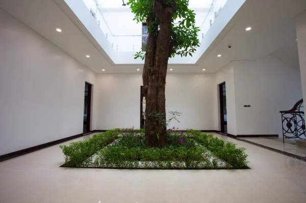 Ảnh Viva TĐ48 - 8