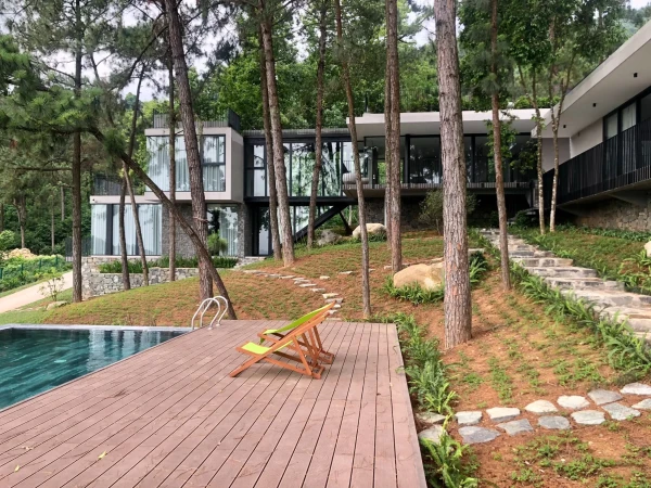 Ảnh Viva TĐ12 - 15