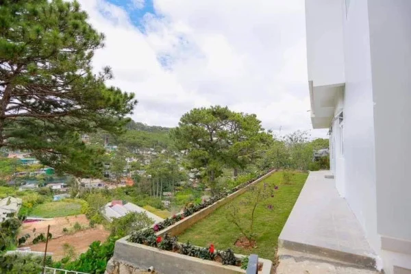 Ảnh Viva ĐL45 - 7