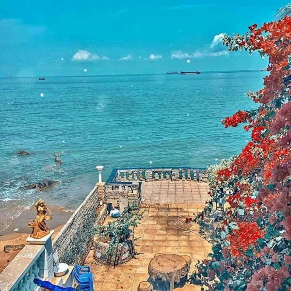 Ảnh Viva VT191 - 14