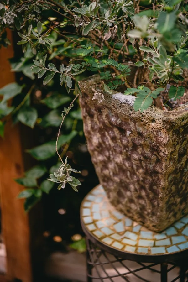 Ảnh Viva Homestay H8 - 8