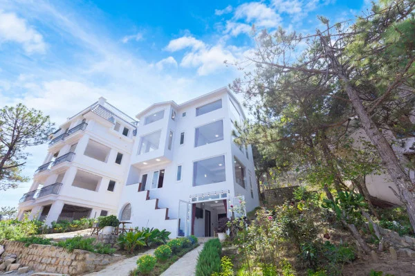 Ảnh Viva ĐL40 - 34