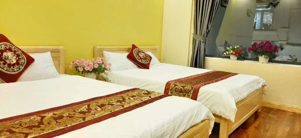 Ảnh Cẩm Tú Cầu 1 - 25