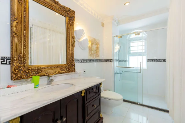 Ảnh Viva VT191 - 49