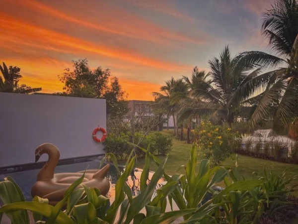 Ảnh Viva HT02 - 15