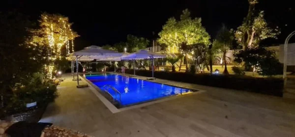 Ảnh Viva HB19 - 13