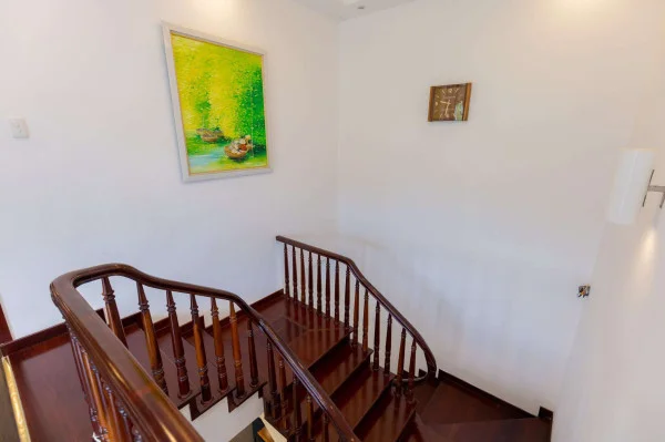 Ảnh Viva VT49 - 39