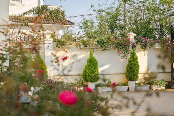 Ảnh Bảo Hân 1 - 15