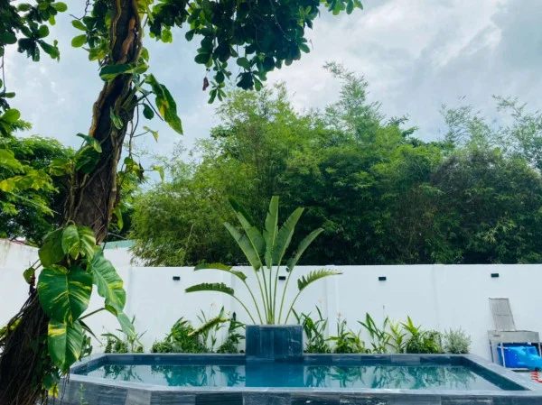 Ảnh 6 Nguyễn Biểu - 14