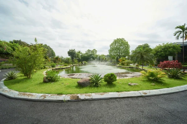 Ảnh Viva HB12 - 10