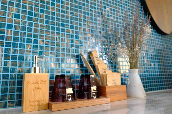 Ảnh Viva PT09 - 29