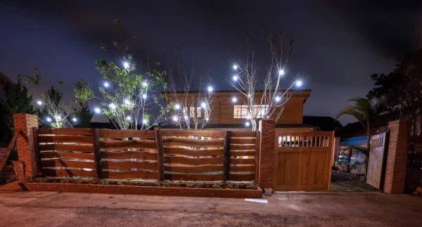 Ảnh Viva ĐL11 - 23