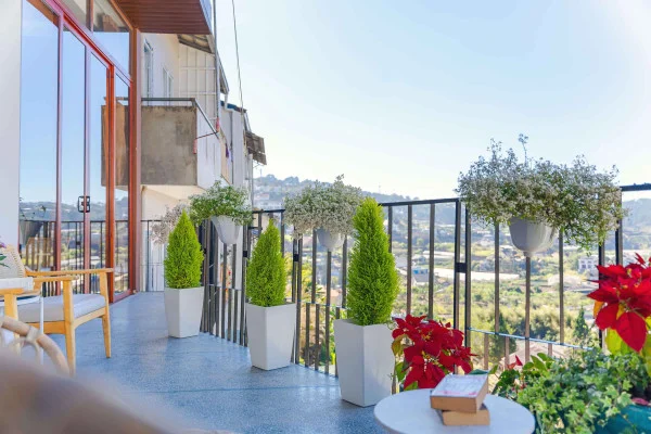 Ảnh Viva ĐL17 - 10