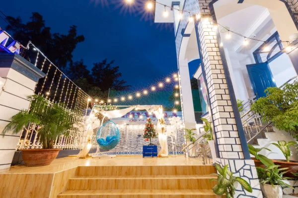 Ảnh Viva VT09 - 36