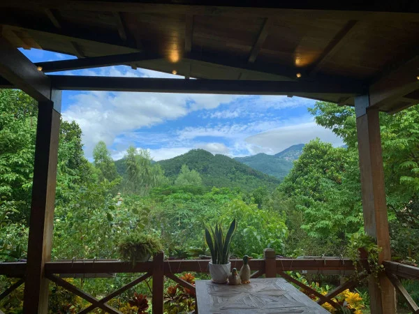 Ảnh Viva TĐ15 - 11