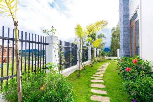 Ảnh Viva ĐL41 - 8