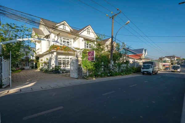 Ảnh Cẩm Tú Cầu 2 - 33