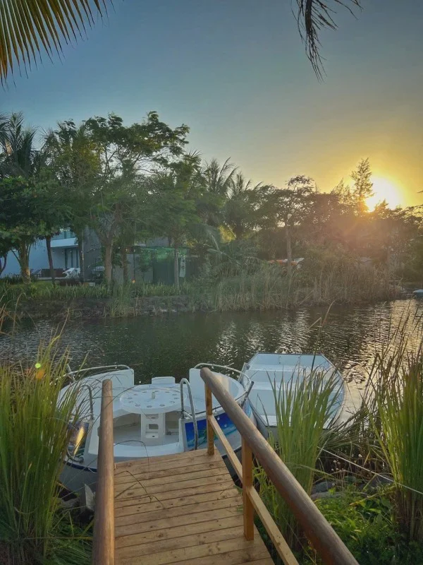 Ảnh Viva HT02 - 10