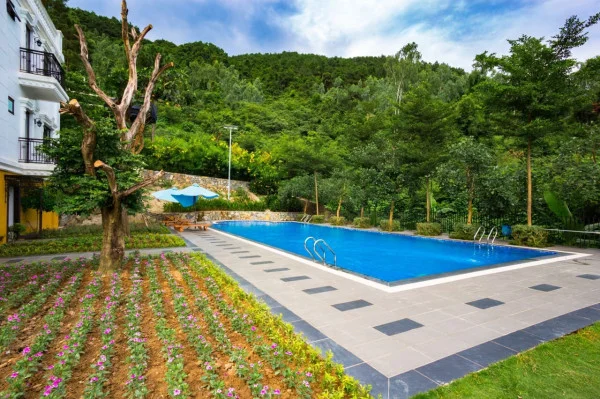 Ảnh Viva TĐ45 - 13