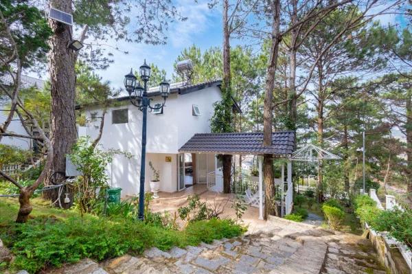 Ảnh Viva ĐL44 - 50