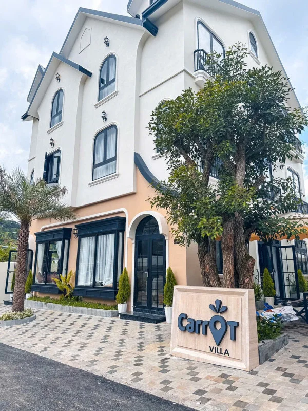 Ảnh Viva ĐL05 - 22