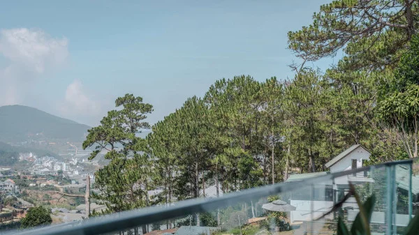 Ảnh Viva ĐL25 - 21