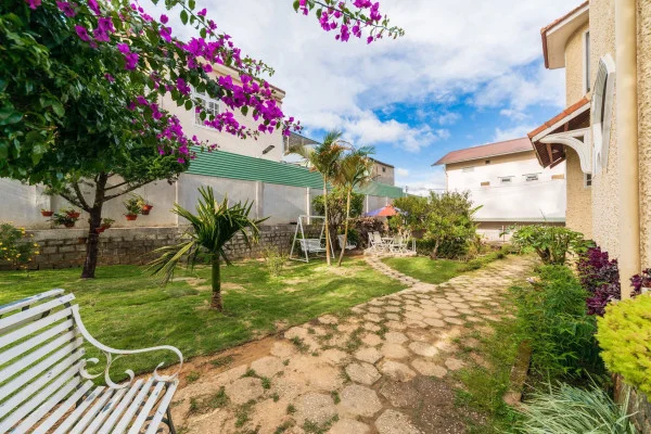 Ảnh Viva ĐL12 - 15