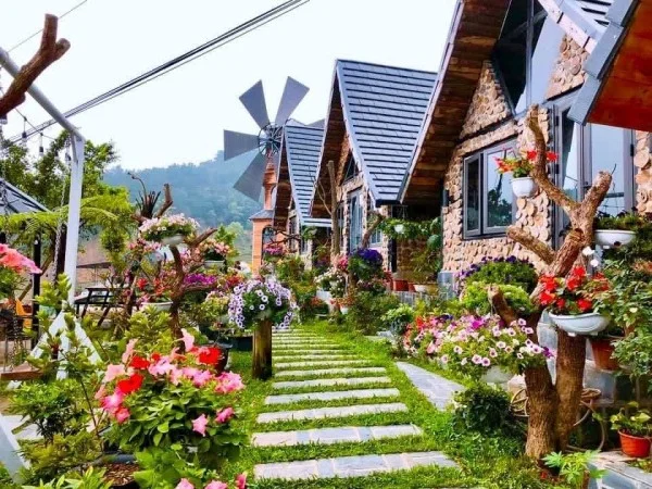 Ảnh Viva Homestay T1