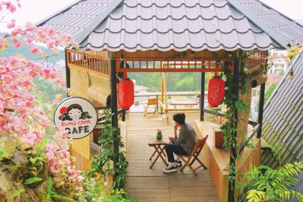 Ảnh Viva Homestay T9 - 12