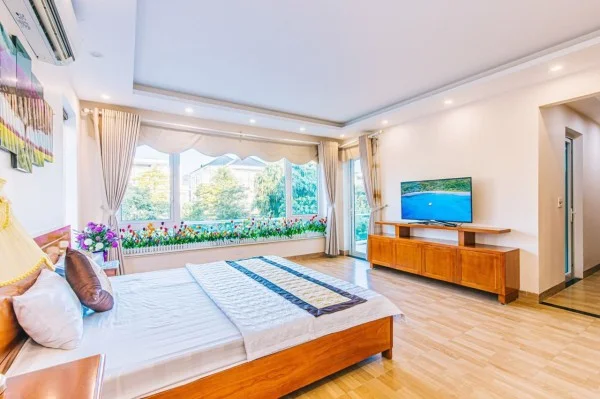 Ảnh Viva NT010 - 17