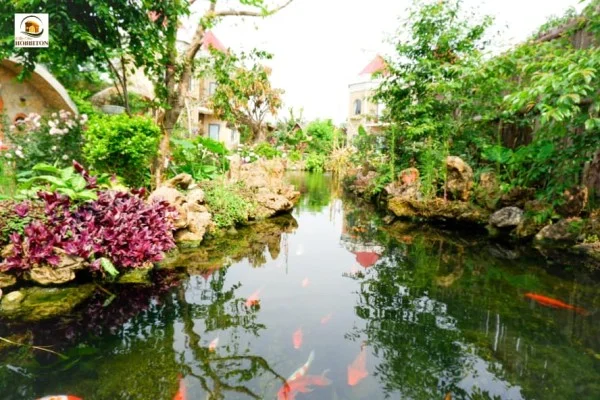 Ảnh Viva MCHobbiton - 8