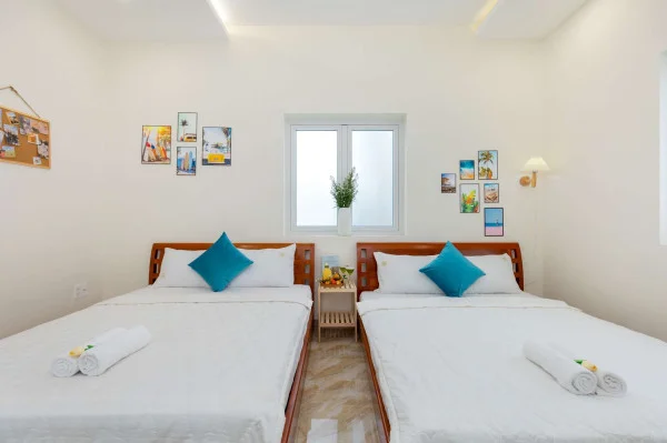 Ảnh Viva VT33 - 19