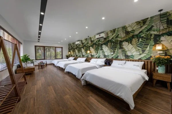 Ảnh Viva BGem - 15