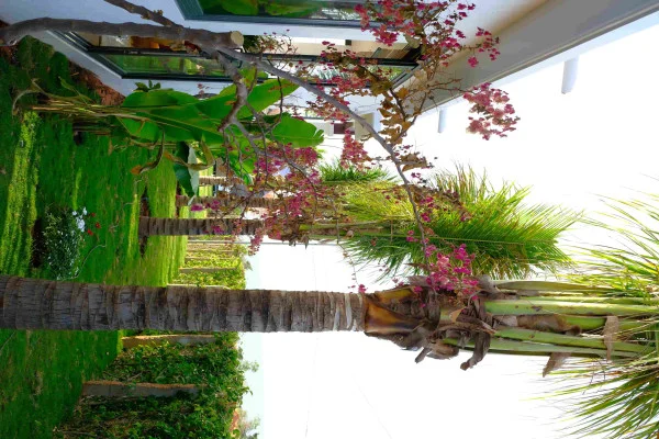 Ảnh Viva PT06 - 57