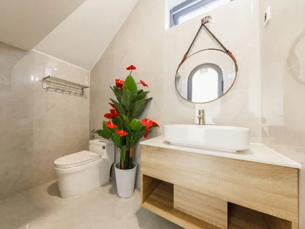 Ảnh Viva ĐL060 - 1