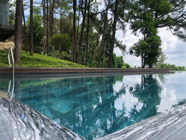 Ảnh Viva TĐ12 - 14