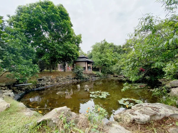 Ảnh Viva HB20 - 17