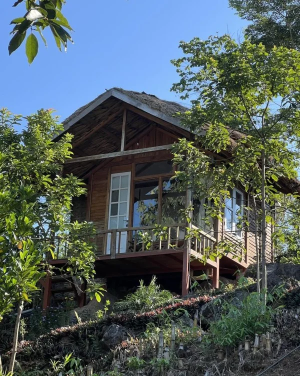 Ảnh Viva Homestay MC 13