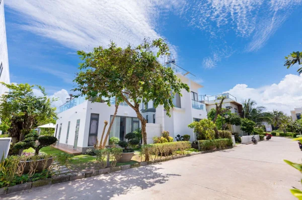 Ảnh Viva VT91 - 19