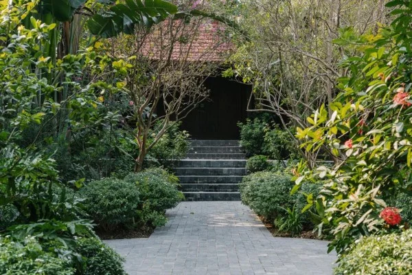 Ảnh Viva Homestay N11