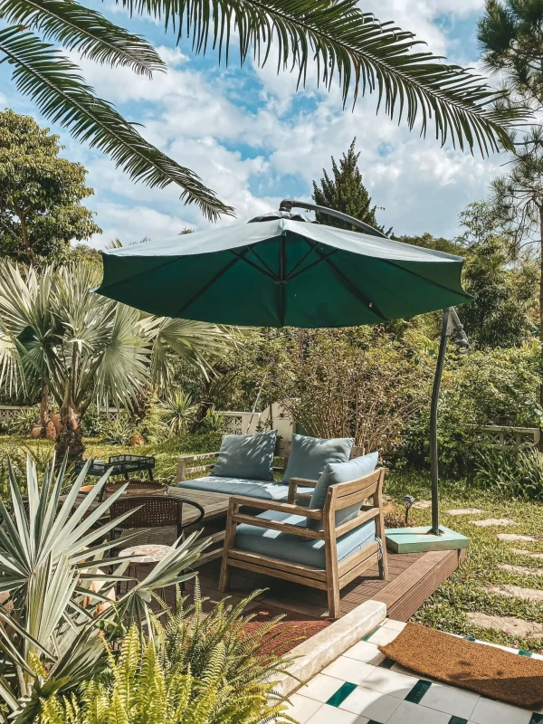 Ảnh Viva B01-01 - 10