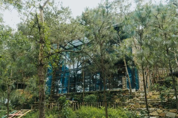 Ảnh Viva Homestay H2