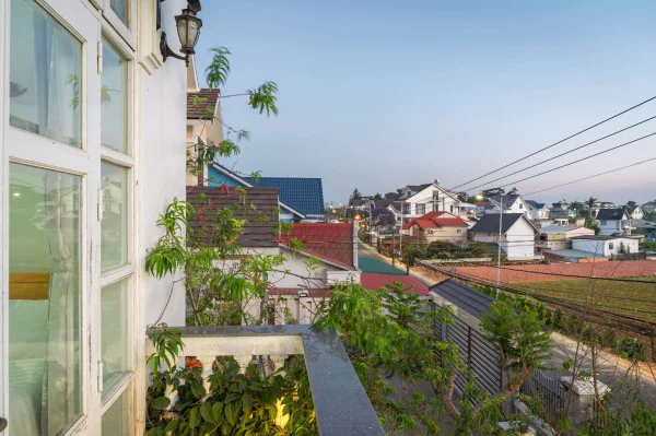 Ảnh Cẩm Tú Cầu 2 - 40