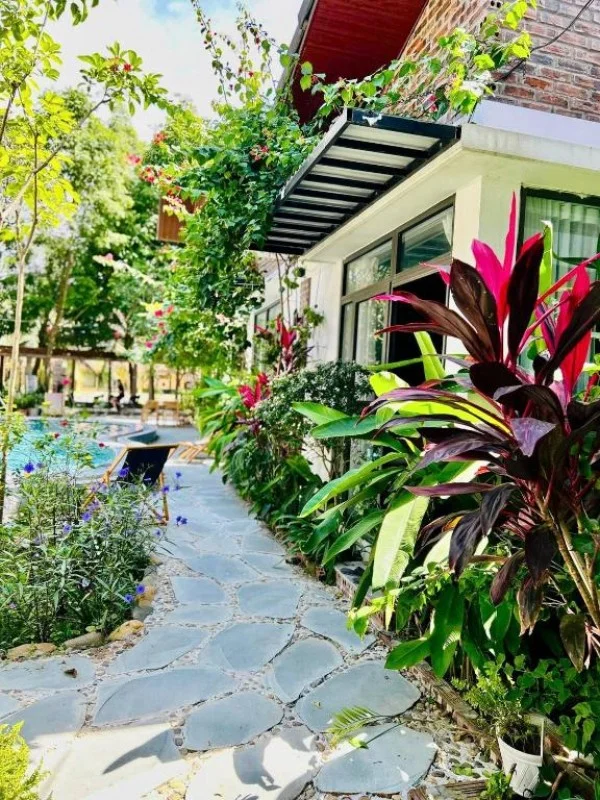 Ảnh Viva Homestay N03 - 19